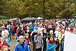 015_LAUF_Venuslauf2018